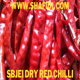 DRY CHILLI RED